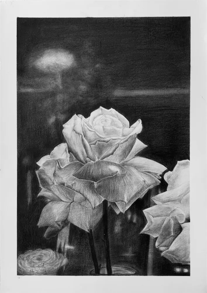 Roses sur fond sombre, dessin au graphite